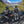 Kriega Trail 18 Backpack