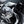SW Motech Engine Bars - Silver