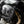SW Motech Engine Bars - Black