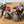 Kriega Haul Loop