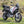 Kriega Rollpack-40 Tail Pack