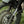 Kriega Stickers